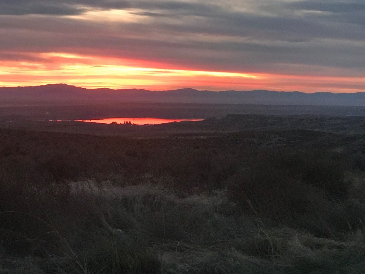 To Serve While&nbsp;Walking